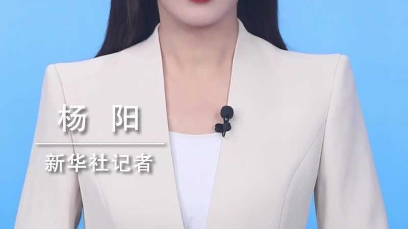 数据治理生命周期管理工具：构建企业数据治理体系的利器